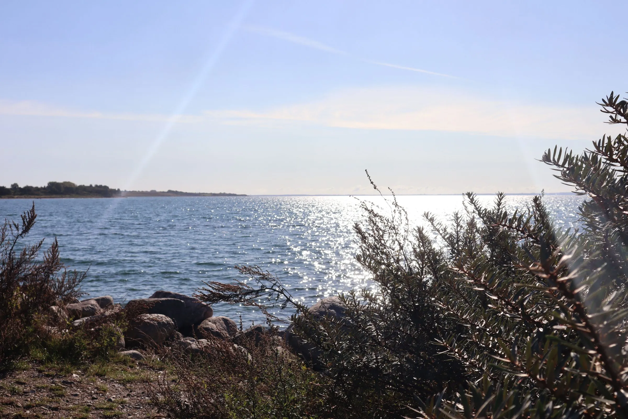 The rocky coast of Sjællands Odde with low trees and the Kattegat beyond